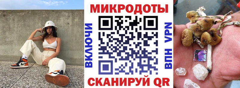 как найти закладки Шелехов Псилоцибиновые грибы мицелий
